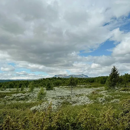Modern All-year In Scenic Geilo